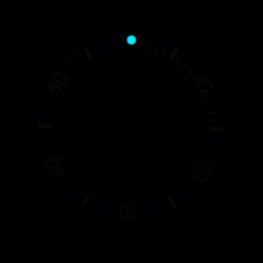 SKX007/SRPD 38*30.7mm Ceramic Bezel insert: Black Sub